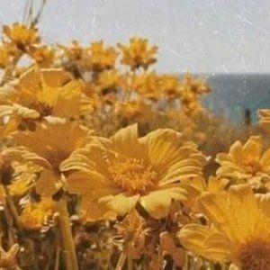 Meet your Posher, Daniela